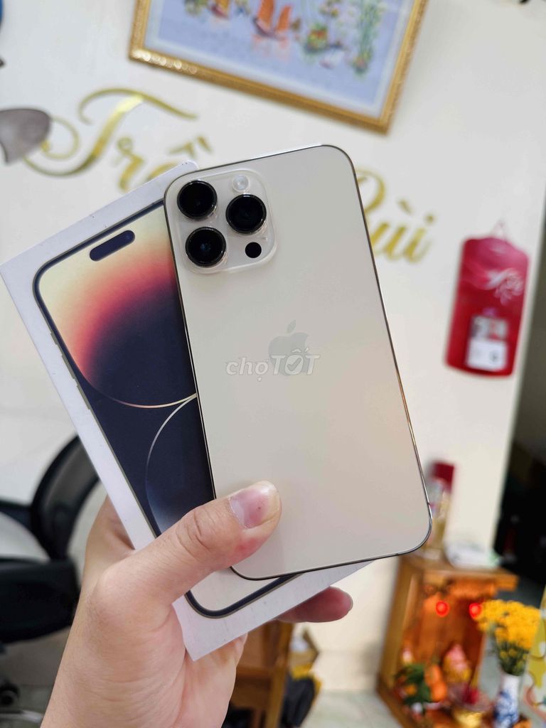 Apple iPhone 14 Pro Max 128GB Vàng Đã dùng. Mua bán Điện thoại tại Huyện Tam Bình Vĩnh Long được đăng bởi Trong Tran hình 1