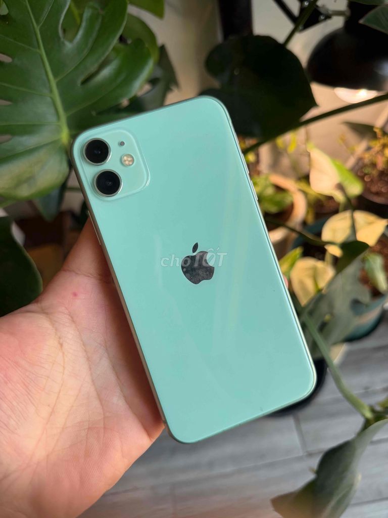 Apple iPhone 11 64GB Xanh Đã dùng. Mua bán Điện thoại tại Thành phố Vũng Tàu Bà Rịa - Vũng Tàu được đăng bởi Monkey Apple hình 1