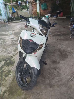 Honda SH 2008 màu Trắng. Mua bán Xe máy tại Thành phố Long Xuyên An Giang được đăng bởi Giau
