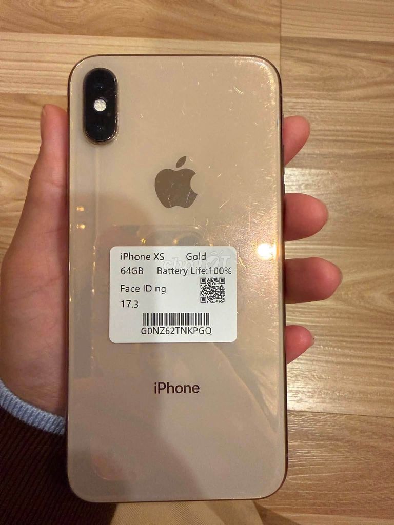 Apple iPhone XS 64GB Gold Đã qua sử dụng. Mua bán Điện thoại tại Quận 8 Tp Hồ Chí Minh được đăng bởi Hội Đồ Điện Tử hình 1