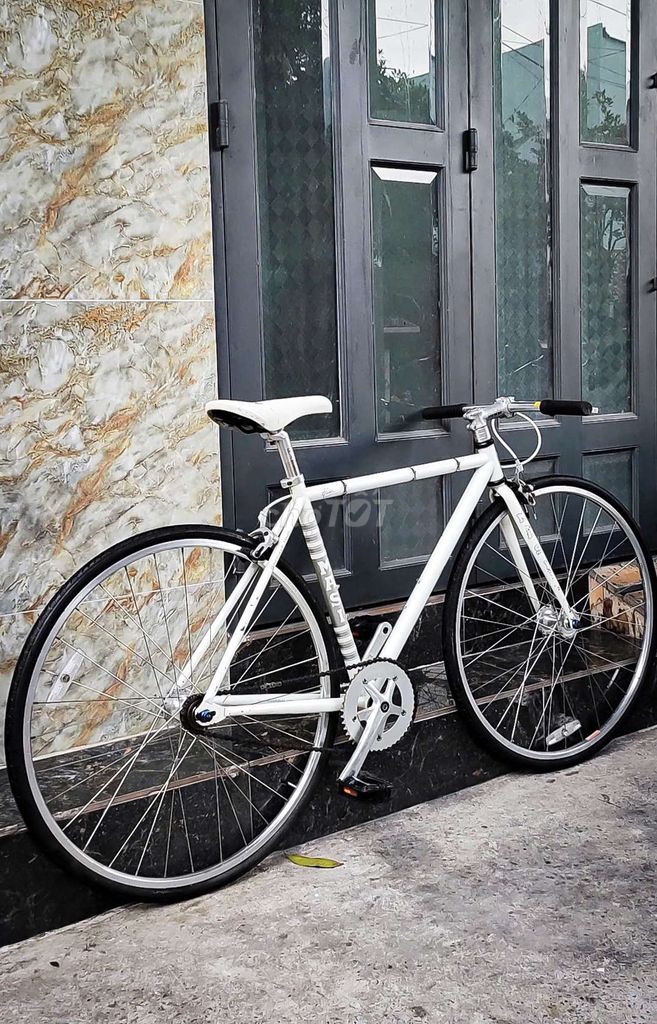 Tourin Single speed, Fixed gear củahãng MASI ITALY