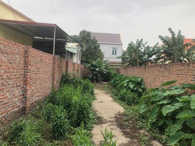 Đất thổ cư 56m2 Kiều Hạ 1, Quốc Tuấn, An Dương giá 580 triệu. Mua bán đất tại Huyện An Dương Hải Phòng được đăng bởi Nguyễn Văn Thành