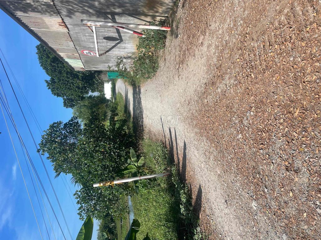 bán nhà vườn thị trấn cần giuộc long an. Mua bán đất tại Huyện Cần Giuộc Long An được đăng bởi quách minh duong hình 4