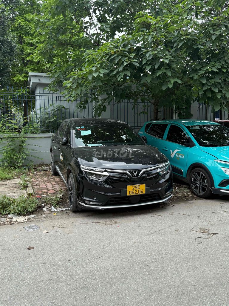 Ảnh số 7