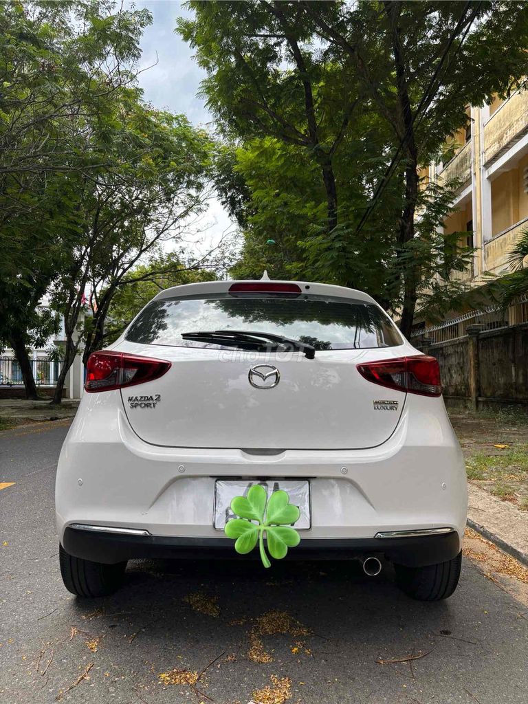 Ảnh số 7