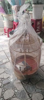 Lồng chim Tre 68 nan Mới 100%
