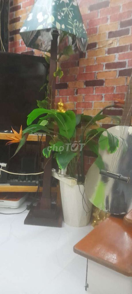 Cây cảnh giả Nhựa Xanh lá trang trí. Mua bán Cây cảnh, đồ trang trí tại Quận Gò Vấp Tp Hồ Chí Minh được đăng bởi Phương Trần hình 1