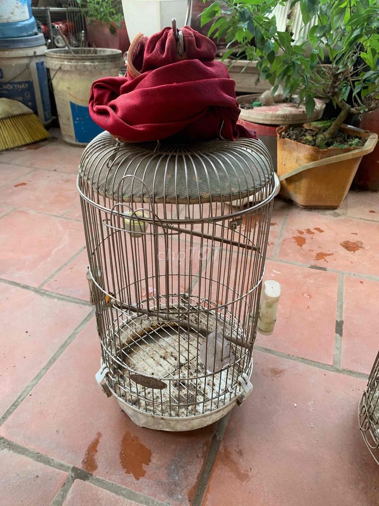 Lồng chim Inox 3 lồng. Mua bán Phụ kiện, Thức ăn, Dịch vụ tại Huyện Đông Anh Hà Nội được đăng bởi hải hình 1