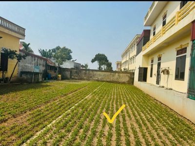 Chính chủ bán đất đấu giá thổ cư 100% TT.Quất Lâm, Nam Định. Mua bán đất tại Huyện Giao Thủy Nam Định được đăng bởi Vũ Quang