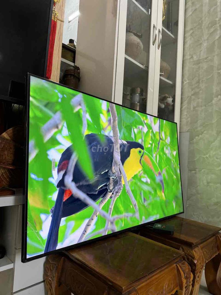 Tivi TCL 65 inch. Mua bán Tivi, Âm thanh tại Thành phố Vũng Tàu Bà Rịa - Vũng Tàu được đăng bởi Đồ Điện Tử Gia Đình Vũng Tàu hình 1