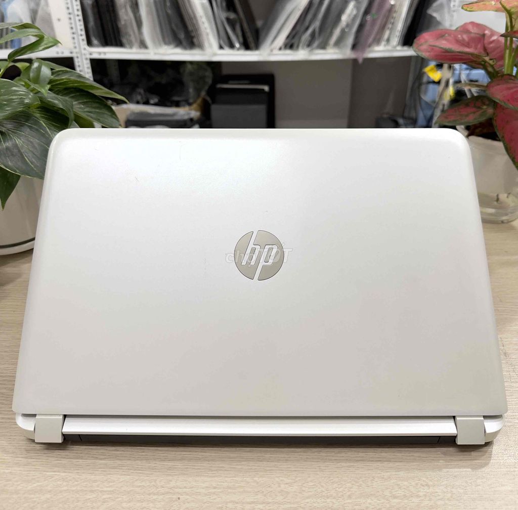 HP Pavilion i5 Gen 6 Ram 16 SSD 256GB zin pin new. Mua bán Laptop tại Quận Hai Bà Trưng Hà Nội được đăng bởi Akiba shop hình 1