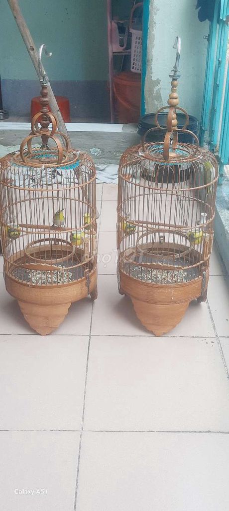 Thanh lý hai bộ chim khuyên nuôi được 5 tháng. Mua bán Chim tại Quận 10 Tp Hồ Chí Minh được đăng bởi kiệt hào  hình 6