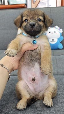 Trai Nhật lai xin chào sen dễ thương😁😁