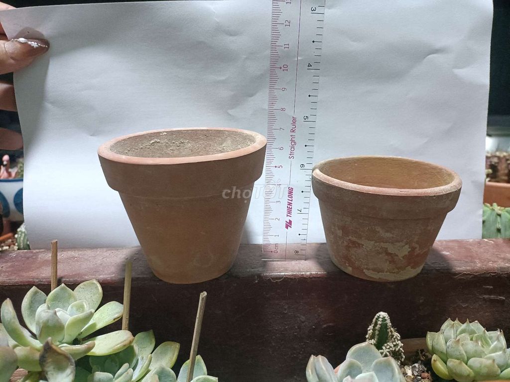 Chậu cây đất nung đã sử dụng. Mua bán Cây cảnh, đồ trang trí tại Quận Bình Thuỷ Cần Thơ được đăng bởi Uyen hình 1