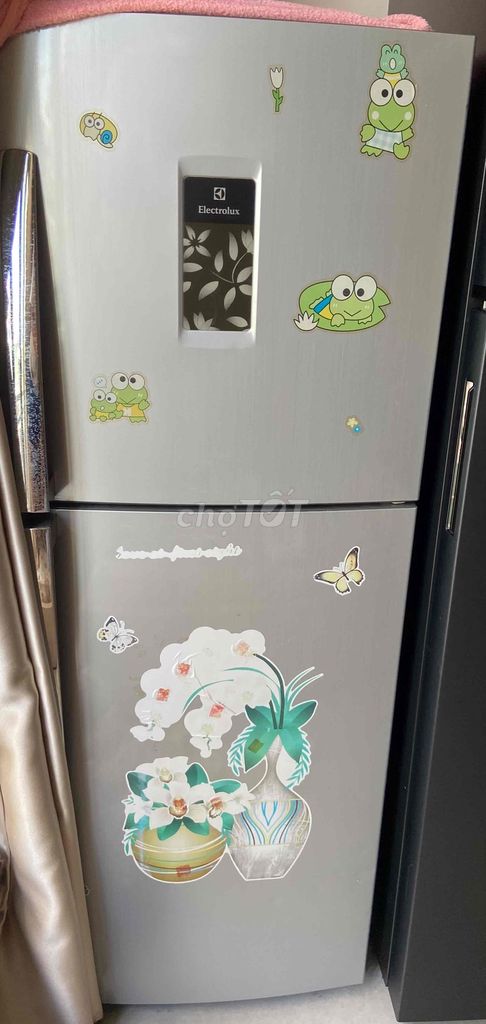 Tủ lạnh Electrolux 2 cánh Bạc 250L tiết kiệm điện. Mua bán Tủ lạnh tại Quận Tân Bình Tp Hồ Chí Minh được đăng bởi mit uot hình 1