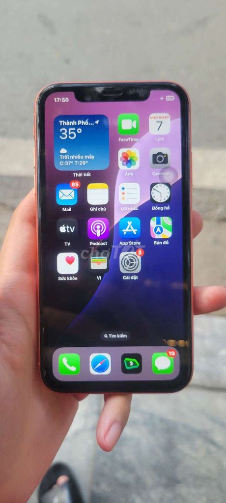 Apple iPhone XR LOZZ64GB Cam Đã dùng. Mua bán Điện thoại tại Quận Hai Bà Trưng Hà Nội được đăng bởi Đinh Hải Anh hình 1