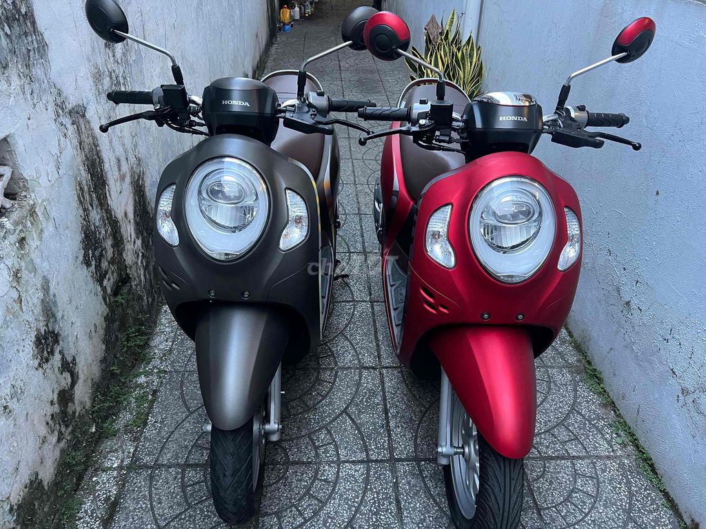 2c scoopy bs 65B2 zin cực đẹp