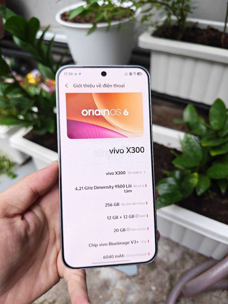Vivo X300 12GB/256GB Pin 100. Mua bán Điện thoại tại Quận Gò Vấp Tp Hồ Chí Minh được đăng bởi Linh hình 1
