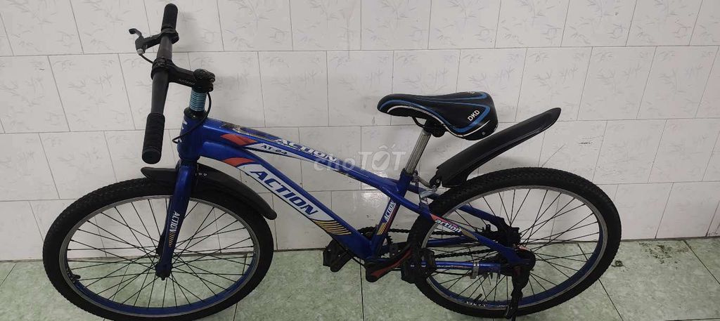 Cần bán xe đạp Action 24 inch