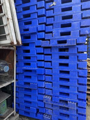pallet tây nam. Mua bán Đồ chuyên dụng, Giống nuôi trồng tại Huyện Bình Chánh Tp Hồ Chí Minh được đăng bởi Lethithunguyet