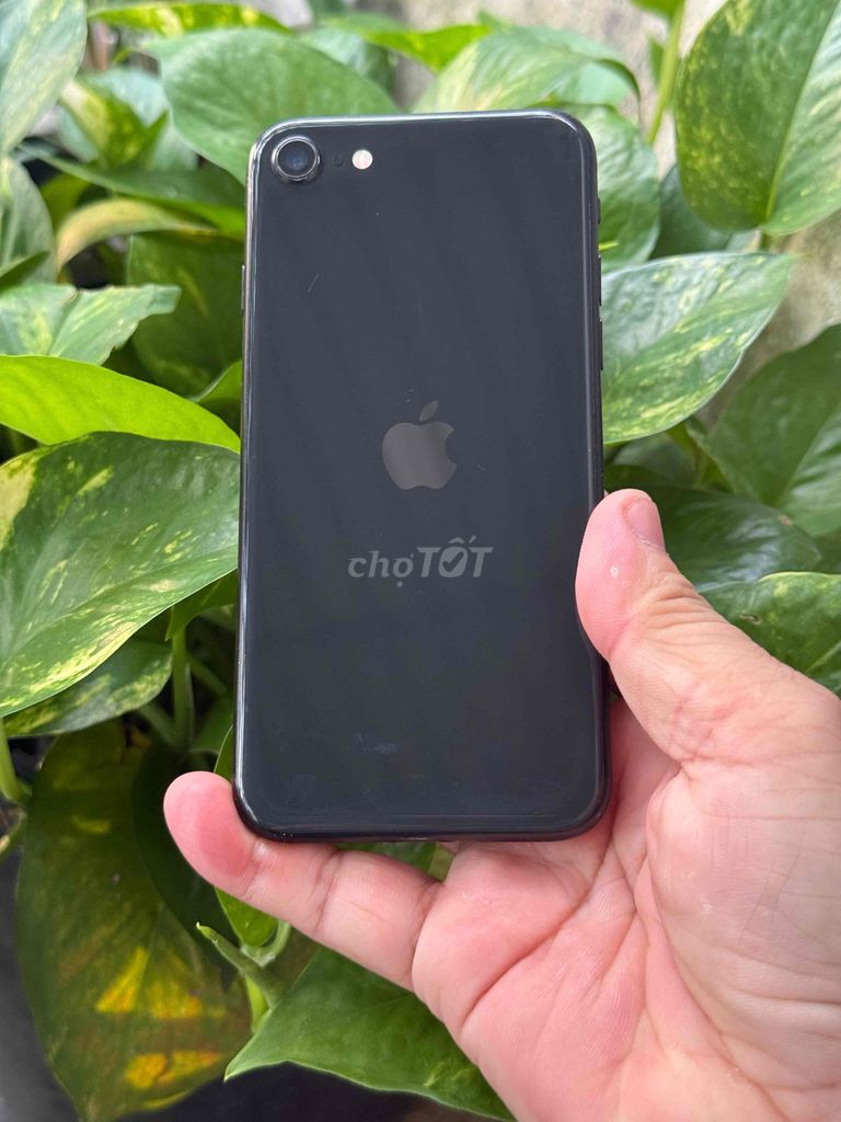 Apple iPhone SE 2020 64GB Đen. Mua bán Điện thoại tại Huyện Hóc Môn Tp Hồ Chí Minh được đăng bởi Sonle hình 1