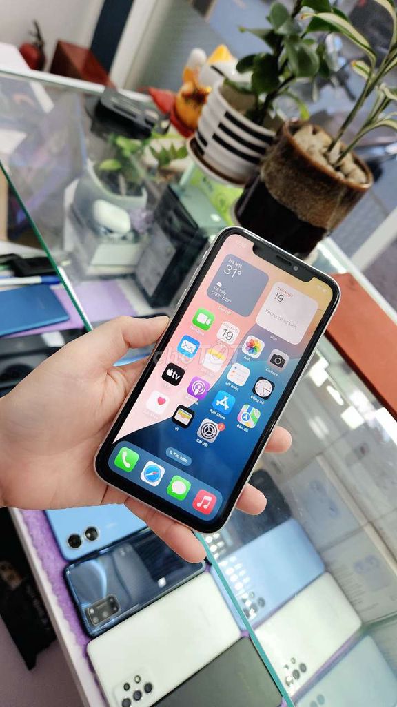 Apple iPhone XR 64GB. Mua bán Điện thoại tại Quận Ninh Kiều Cần Thơ được đăng bởi Huỳnh Ghi hình 1