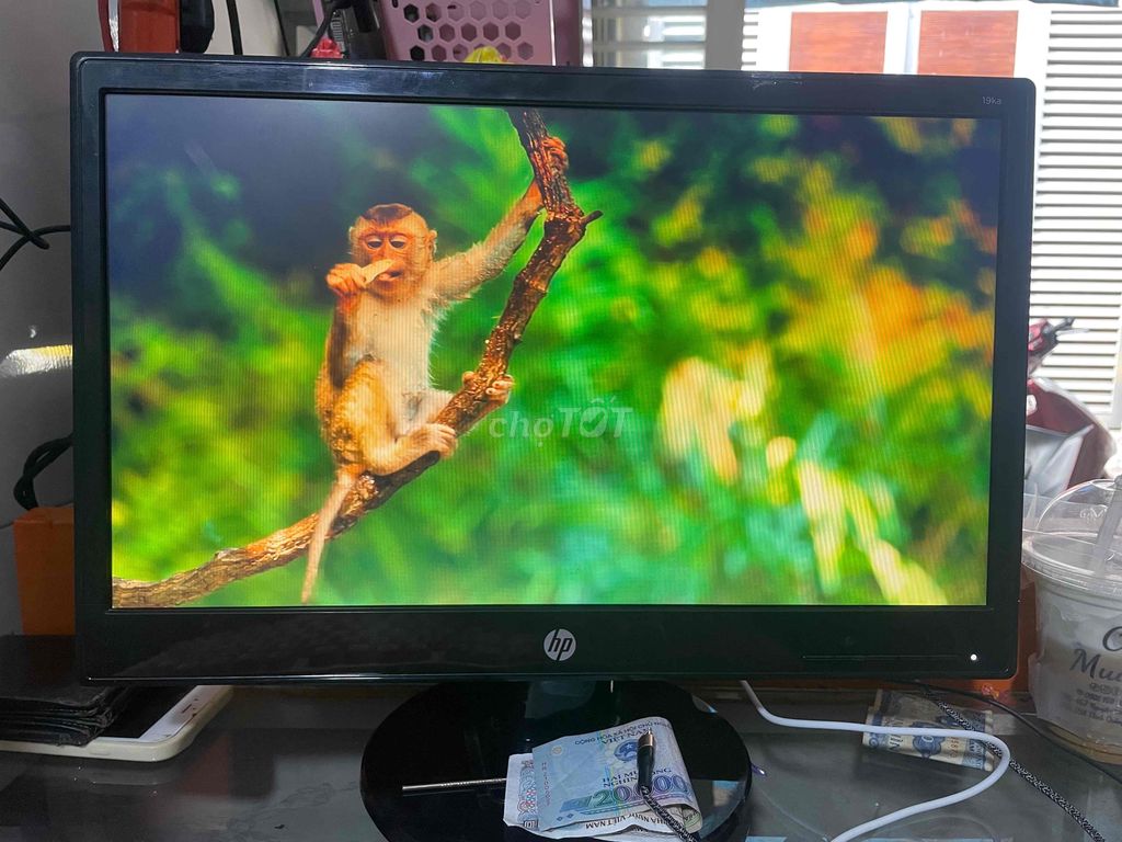 màn hình led hp 19ka đẹp wide 1366x768 full day re