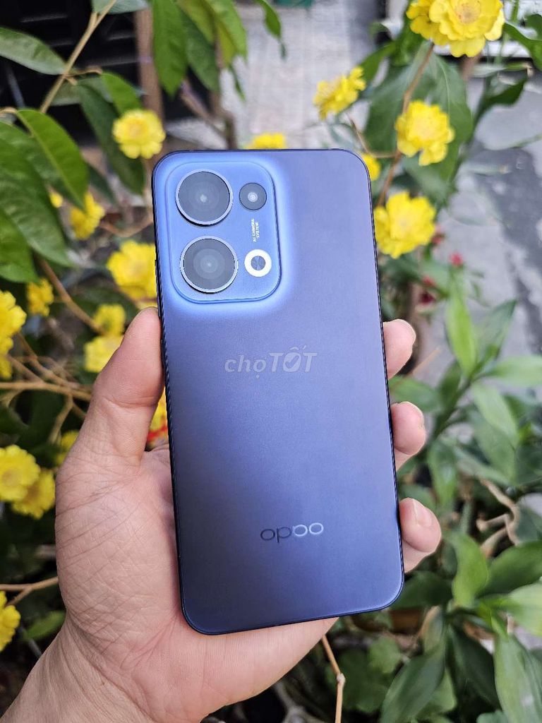 OPPO RENO 13 5G 12/256 XANH ZIN ĐẸP V/N. Mua bán Điện thoại tại Quận Tân Phú Tp Hồ Chí Minh được đăng bởi Ngô Minh Mobile  hình 1