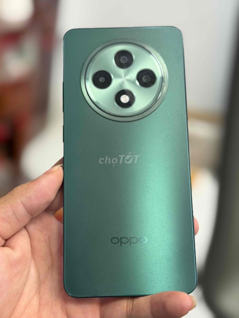 Oppo Reno 12 F 5G 12GB 256GB Xanh. Mua bán Điện thoại tại Quận 7 Tp Hồ Chí Minh được đăng bởi Nguyễn Đặng Kỳ hình 1