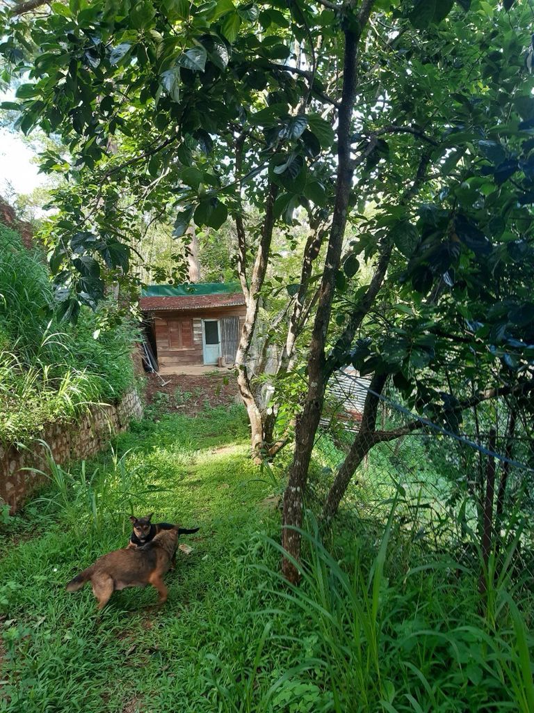 Bán đất nông nghiệp. Đã có sổ cách hồ xuân hương 3km. Phường 10 đà lạt