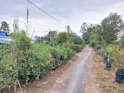Đất vườn xã Tân Khánh Trung- Lấp Vò- Đồng Tháp giáp xã Tân Khánh Đông. Mua bán đất tại Huyện Lấp Vò Đồng Tháp được đăng bởi Quốc Anh