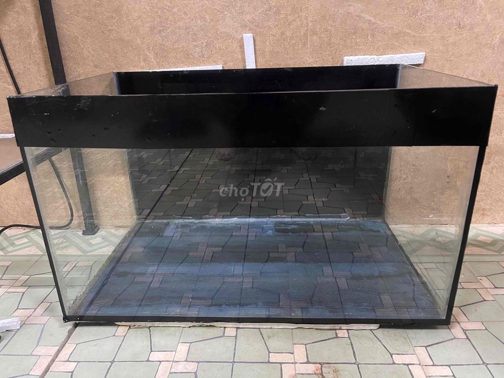 Bể cũ 744 (5li). Mua bán Phụ kiện, Thức ăn, Dịch vụ tại Thành phố Huế Thừa Thiên Huế được đăng bởi Phú hình 1
