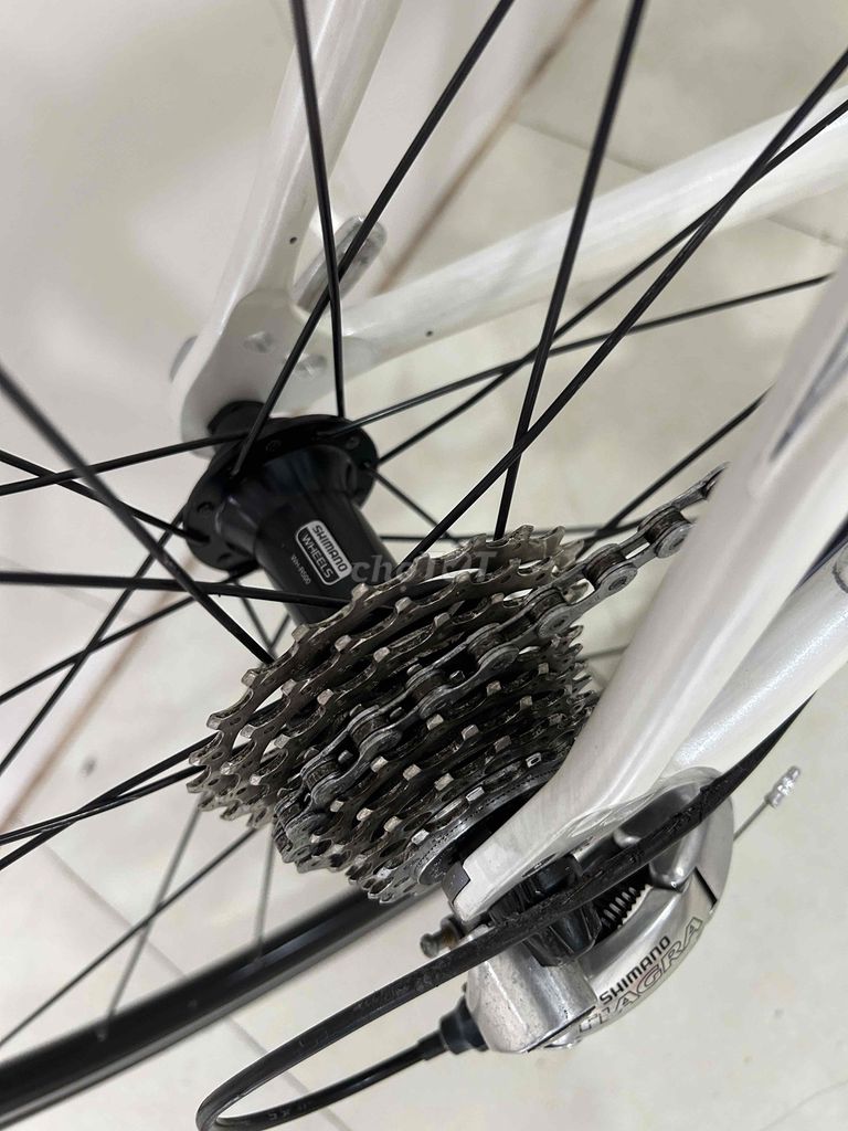 xe đạp đua MADE IN JAPAN. Mua bán Xe đạp tại Quận Bình Thuỷ Cần Thơ được đăng bởi Hien hình 2