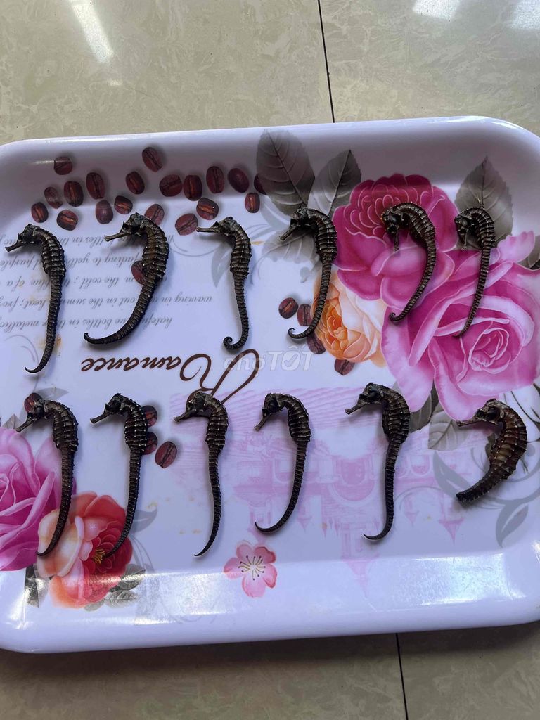 cá ngựa khô. Mua bán Đồ ăn, thực phẩm và các loại khác tại Quận Liên Chiểu Đà Nẵng được đăng bởi Tên chưa cung cấp hình 1