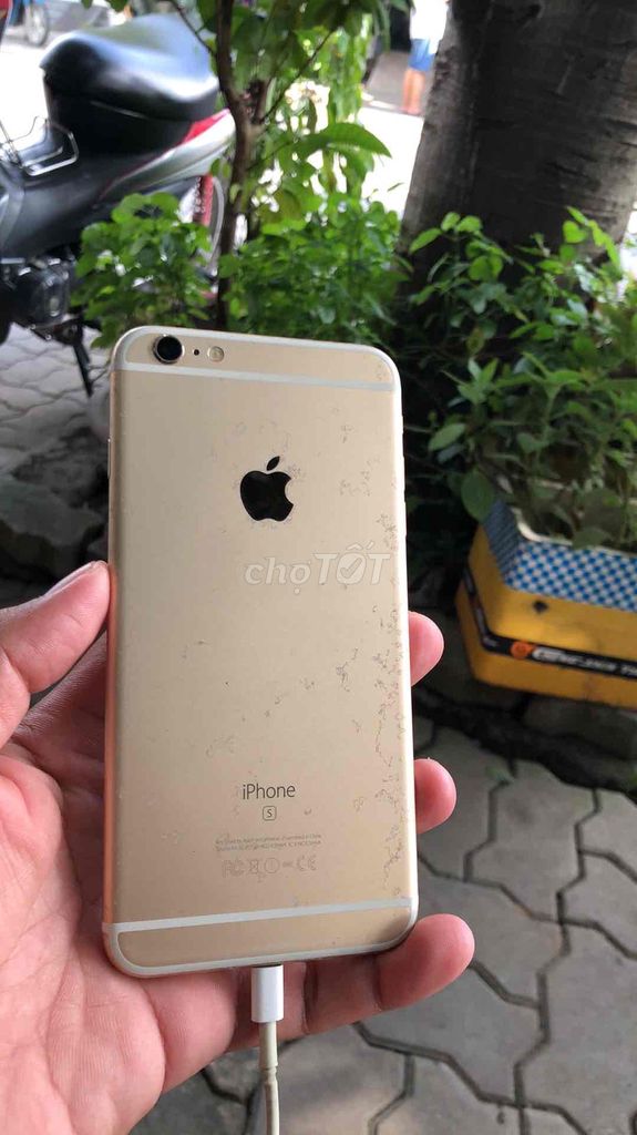 iPhone 6s Plus 16GB quốc tế màu Vàng pin 81%. Mua bán Điện thoại tại Thành phố Thủ Đức Tp Hồ Chí Minh được đăng bởi Hoạ Bì hình 1