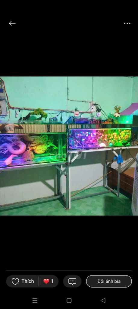 Hồ cá cảnh cái 1m4. và 1m. Mua bán Phụ kiện, Thức ăn, Dịch vụ tại Huyện Châu Phú An Giang được đăng bởi minh sang hình 1