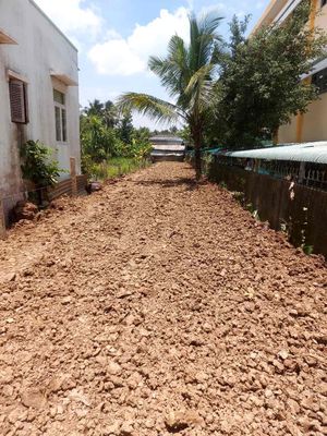 Bán đất mặt tiền đường huyện 12b. Mua bán đất tại Huyện Gò Công Tây Tiền Giang được đăng bởi Hoàng Nguyễn
