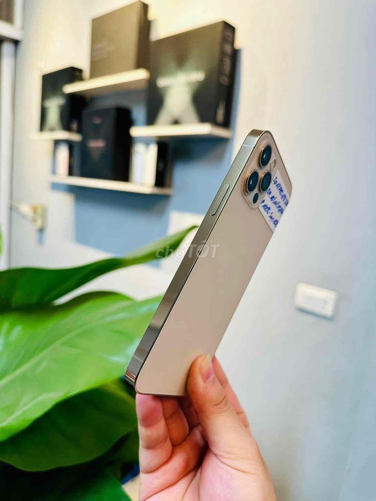iPhone 12 Pro GOLD Fullbox 128G 256G APPLE 02/2023. Mua bán Điện thoại tại Quận Thanh Xuân Hà Nội được đăng bởi Nguyễn Huy Dũng hình 4