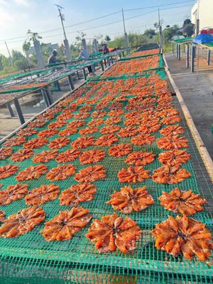 🔥Nhìn đã thèm– Khô cá 3 nắng siêu ngon, nức mũi!”. Mua bán Đồ ăn, thực phẩm và các loại khác tại Quận Phú Nhuận Tp Hồ Chí Minh được đăng bởi Tô Thúy Quỳnh 