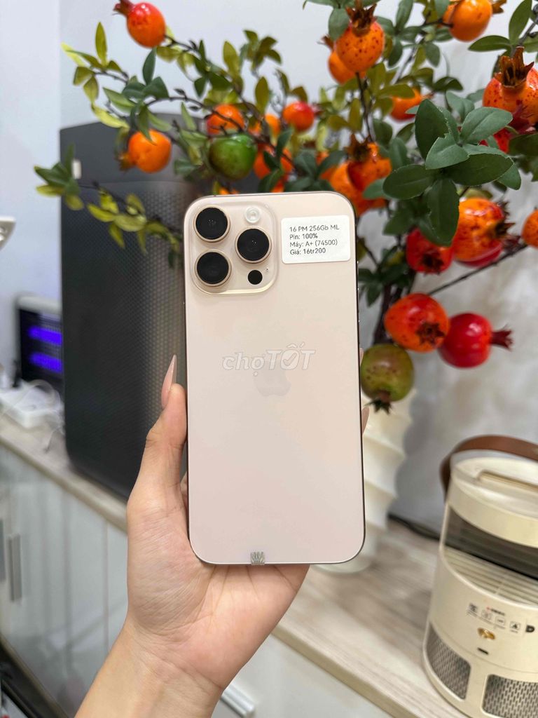 iPhone 16 Pro Max 256GB Sa Mạc, Màn thay 120hz đẹp. Mua bán Điện thoại tại Huyện Hóc Môn Tp Hồ Chí Minh được đăng bởi Luân Hoài hình 1