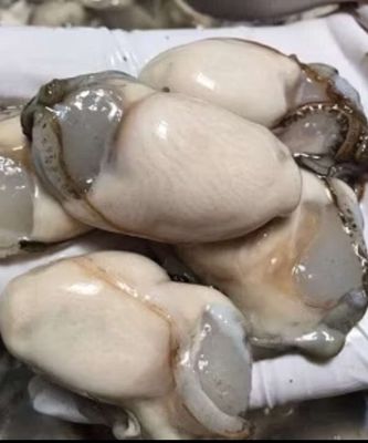 Hào sữa. Mua bán Đồ ăn, thực phẩm và các loại khác tại Quận 4 Tp Hồ Chí Minh được đăng bởi trinh trinh