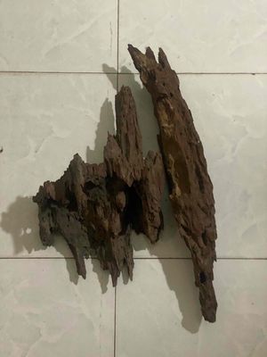 Lụa thuỷ sinh. Mua bán Phụ kiện, Thức ăn, Dịch vụ tại Quận Bình Tân Tp Hồ Chí Minh được đăng bởi bình Minh