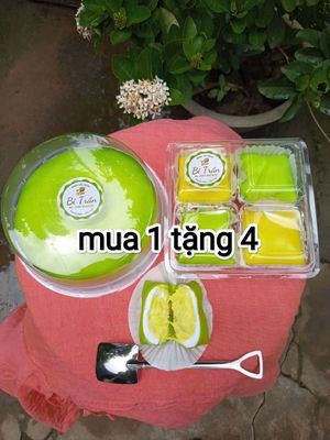 Mua 1 tặng 4