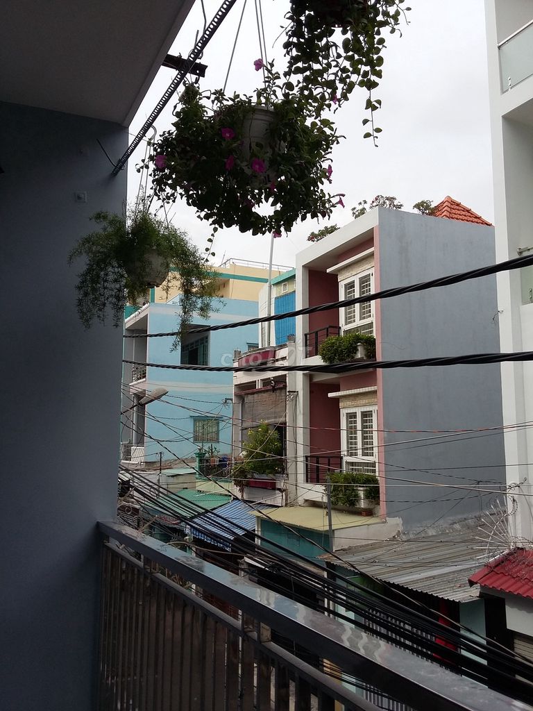 Bán nhà 1T1L hẻm xe tải Bàu Cát Tân Bình. Mua bán nhà ở tại Quận Tân Bình Tp Hồ Chí Minh được đăng bởi Anh Đại hình 5