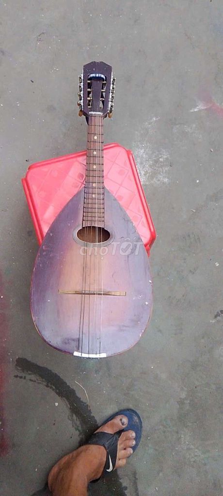 Đàn mandolin Gỗ Nâu Tím Dễ chơi. Mua bán Nhạc cụ tại Quận 6 Tp Hồ Chí Minh được đăng bởi sang hình 1