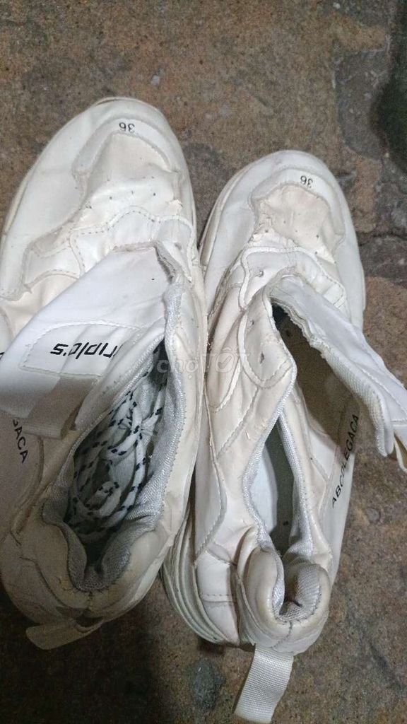 Giày thể thao nữ Trắng size 36 Đã sử dụng. Mua bán Giày dép tại Quận 11 Tp Hồ Chí Minh được đăng bởi Dương Ngọc My hình 1