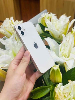 12mini qt 256gb zá tốt. Mua bán Điện thoại tại Quận Thanh Khê Đà Nẵng được đăng bởi Minh Huấn Đặng