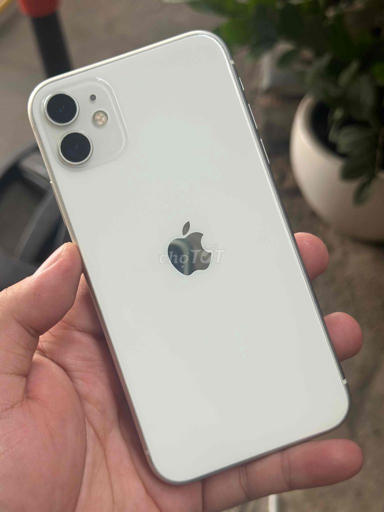 IPHONE 11 LOCK 64GB màn hình zin giá bằng 8Plus. Mua bán Điện thoại tại Huyện Trảng Bom Đồng Nai được đăng bởi Hồ Trung Hiếu hình 1