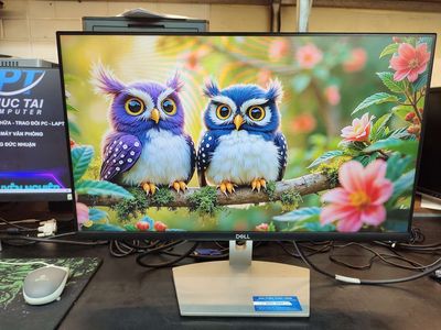📢CHIẾC MÀN HÌNH DELL S 24IN ĐỒ HỌA MIỄN CHÊ. Mua bán Phụ kiện (Màn hình, Chuột...) tại Quận Gò Vấp Tp Hồ Chí Minh được đăng bởi ngọc trang