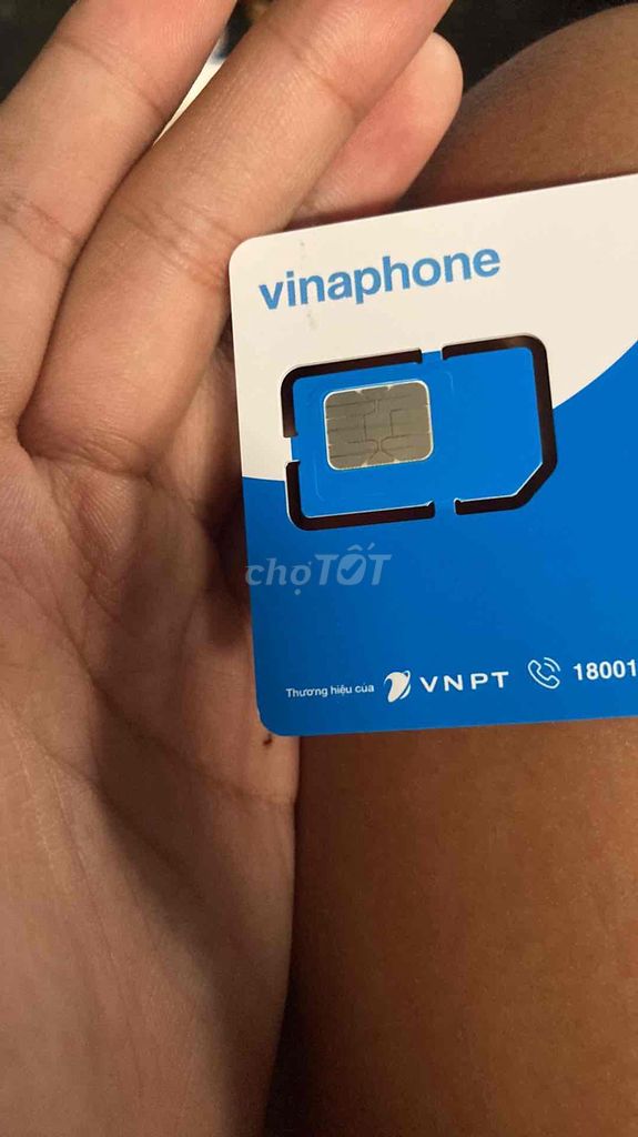 sim trắng vinaphone 5G. Mua bán Phụ kiện (Màn hình, Chuột...) tại Thành phố Biên Hòa Đồng Nai được đăng bởi hà gia bảo hình 1